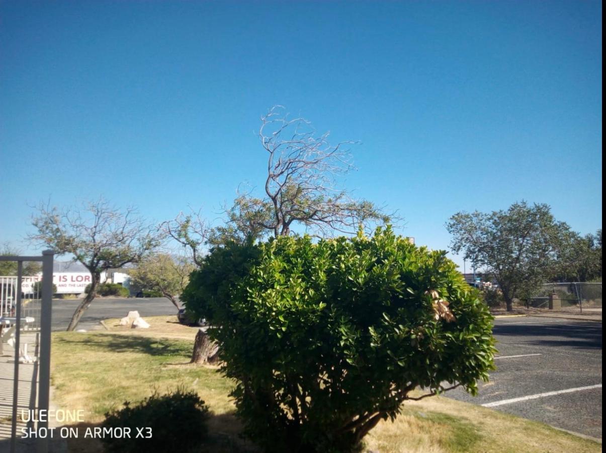 Willcox Extended Inn And Suites 外观 照片